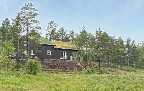 Nissedal House | Stunning Home In Åmli With House A Mountain View