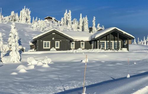 Fla Municipality House | Stunning Home In Eggedal With Wifi
