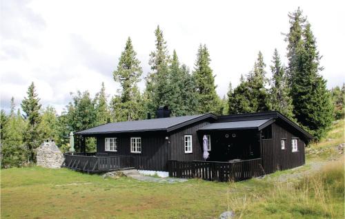 Sjusjoen House | Stunning Home In Sjusjøen With Kitchen