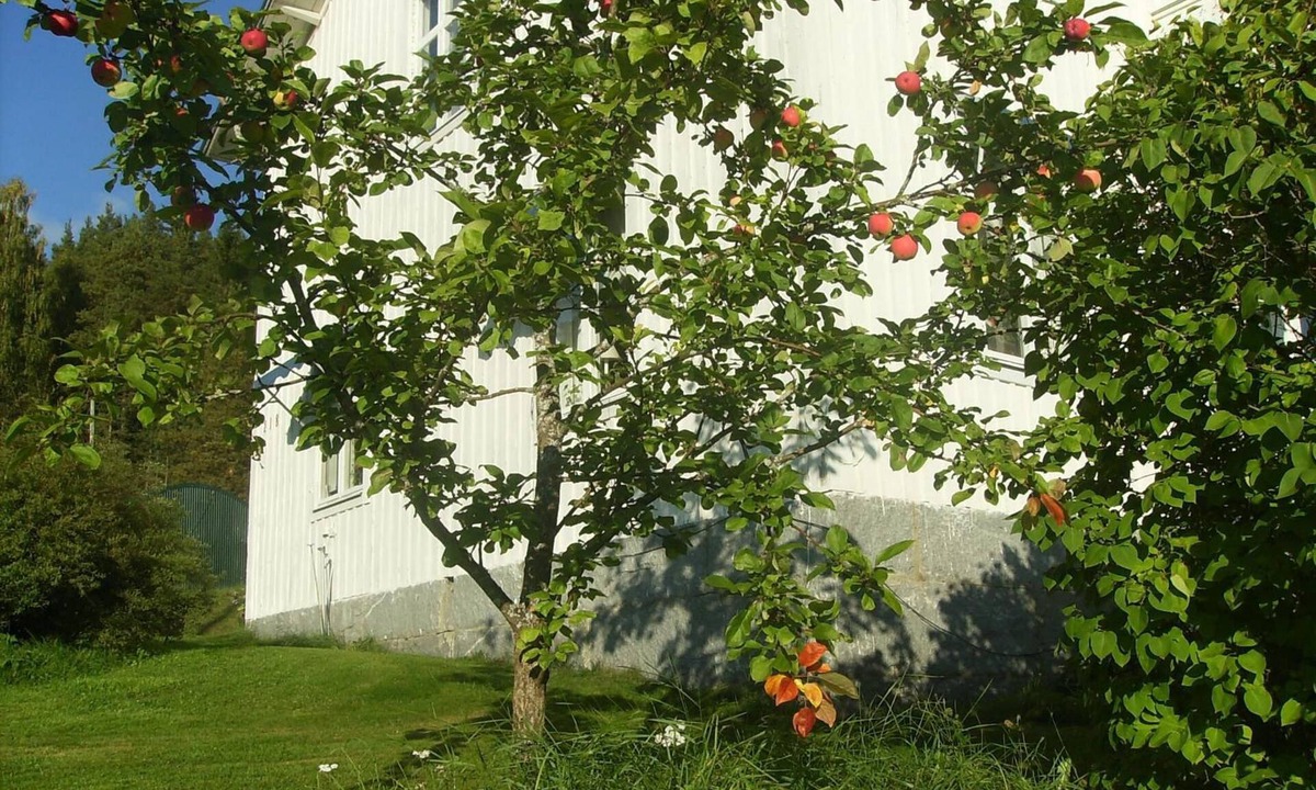 Talje Bed & Breakfast | Täljegården Lantgårdshotell