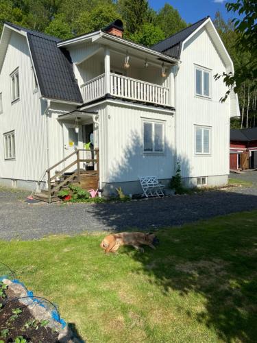 Langav House | Täppan