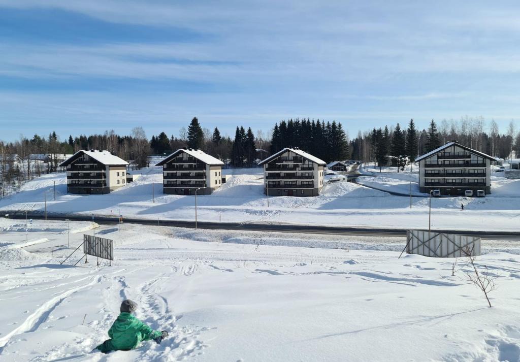 Tahkovuori Ski Chalet | Tahkonkehto F 101
