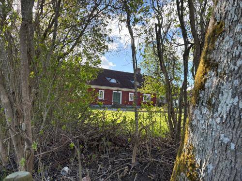 Ullared Bed & Breakfast | Tant Märtas rum & skafferi