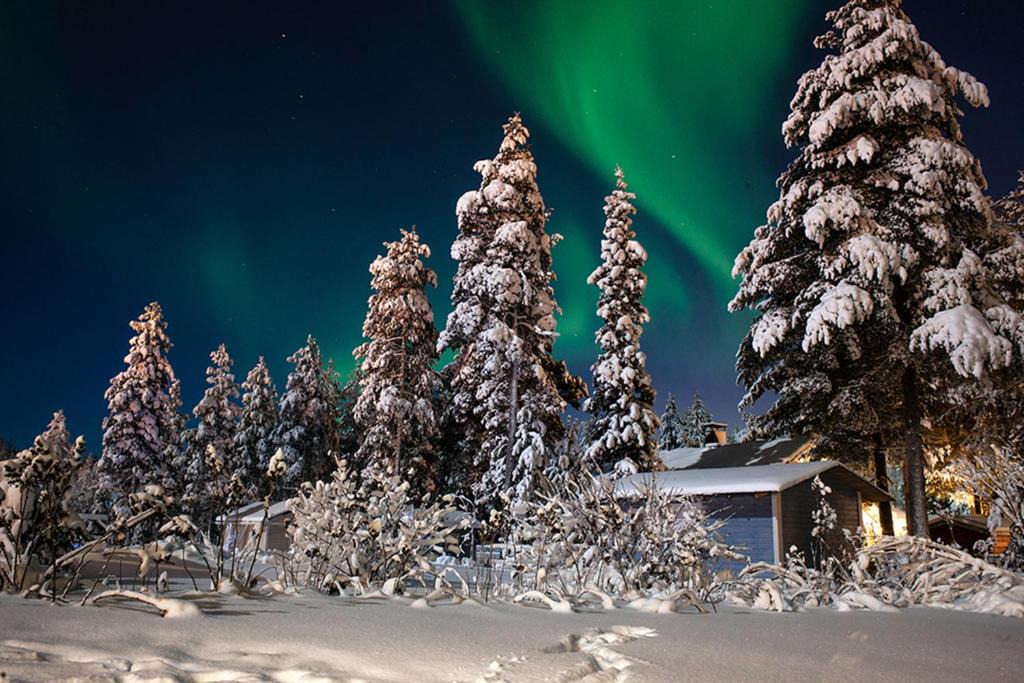 Rovaniemi House | Terra Ultima