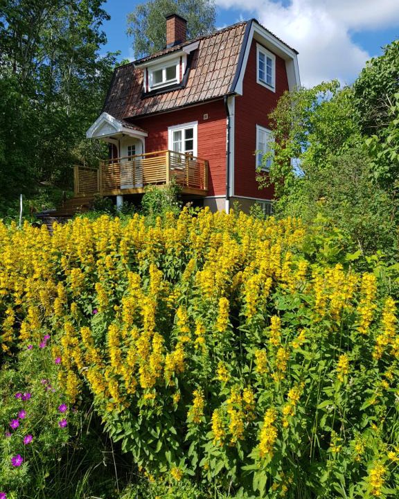 Rimbo House | The brickmaker's cottage
