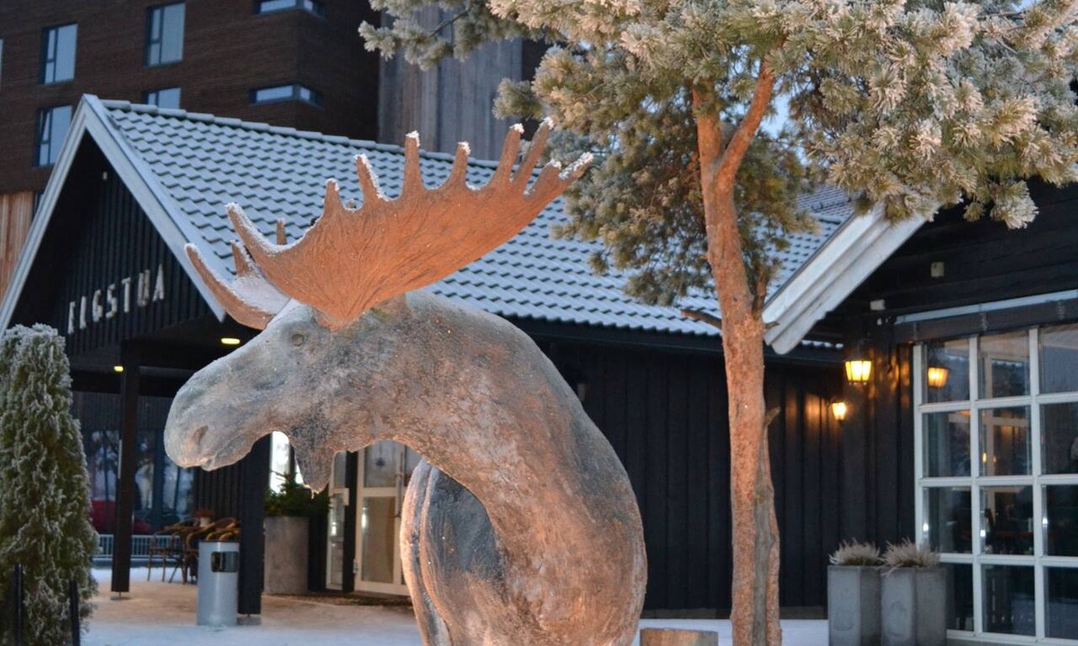 Loten Municipality Hotel | Thon Hotel Elgstua