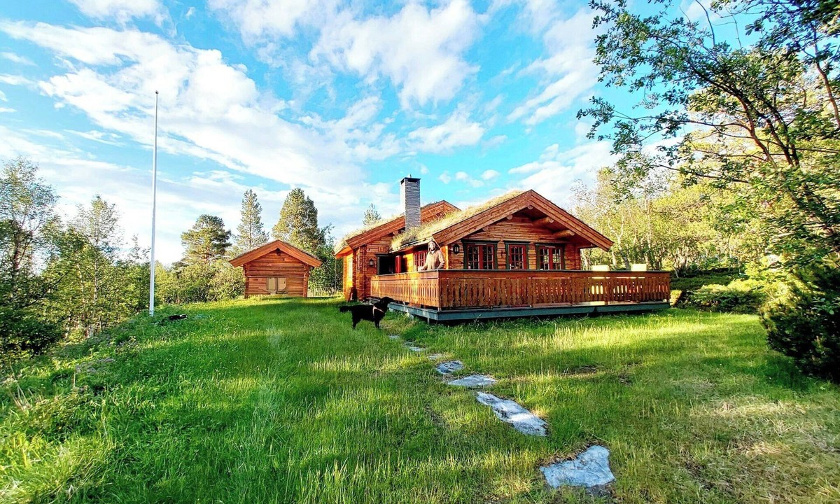 Galaa House | Timber cabin with view over highlands near Røros