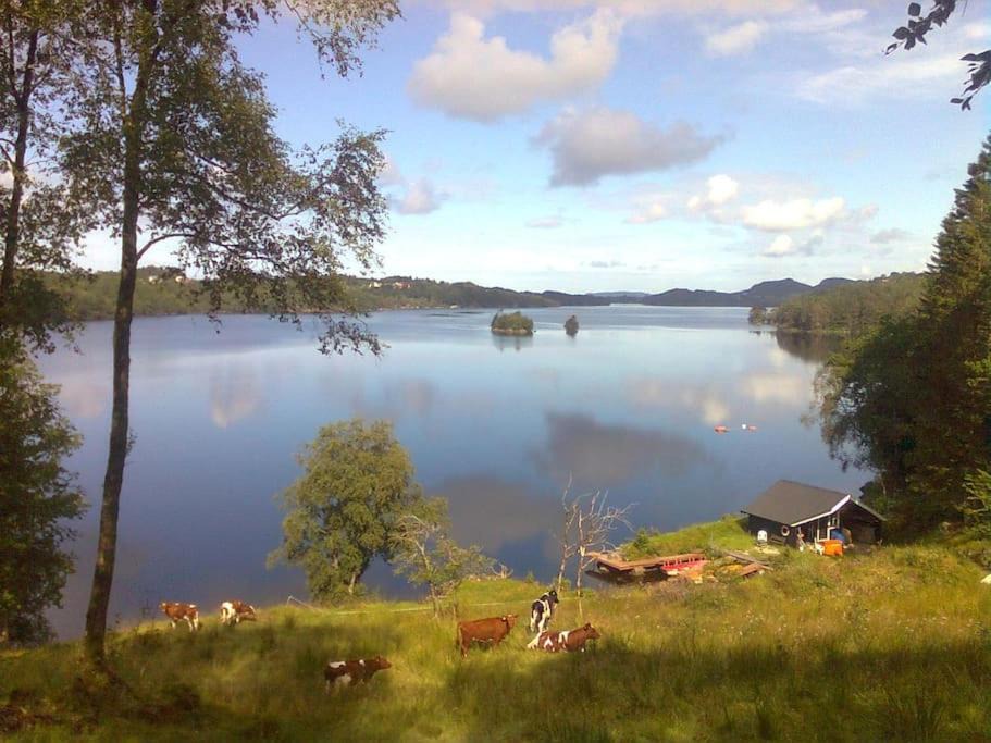 Fitjar Apartment | Topfloor Apartment Separate Entranc Nice view Stord