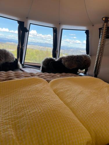 Trondheim Other | Torshaug glamping