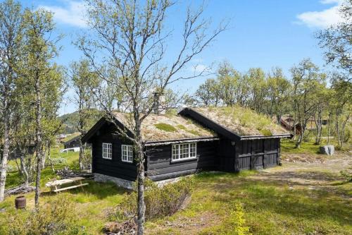 Rauland House | Traditional Log Cabin At Vierli