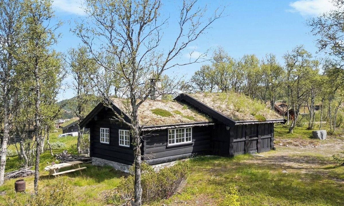 Rauland House | Traditional log cabin at Vierli