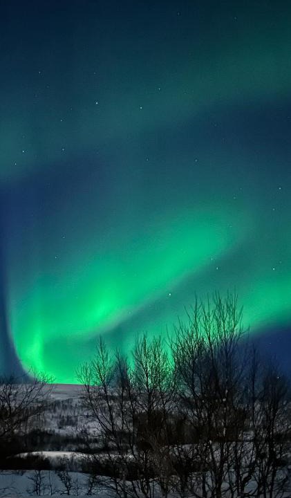 Tromsdalen Apartment | Tromsdalen Aurora Apartments