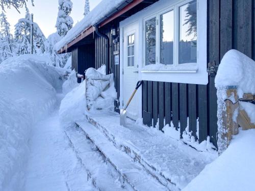 Trysil Apartment | Trysilfjellet Nord 1071B