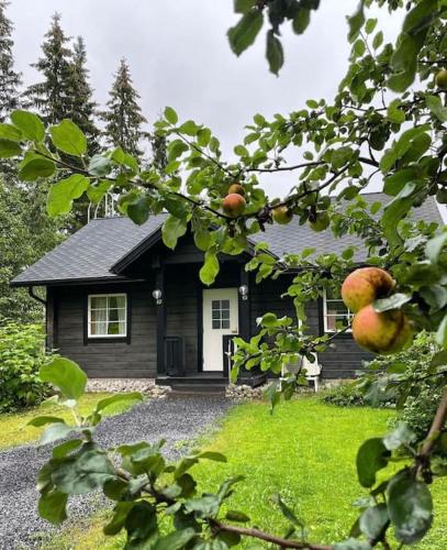 Alavus Villa | Tunnelmallinen ilmastoitu järvenrantahuvila