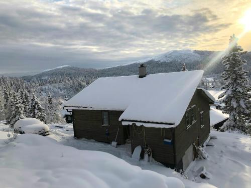Nord-Aurdal House | Unique Cabin And Freestanding Sauna With Views