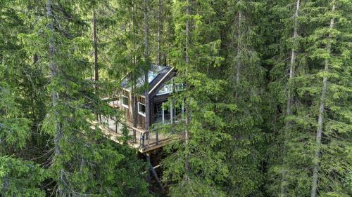 Tokke House | Unique Treetop Cabin In Forest, Lårdal
