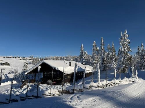 Nord-Aurdal House | Utsikt mot fjellene Ski in out 16 sengeplasser