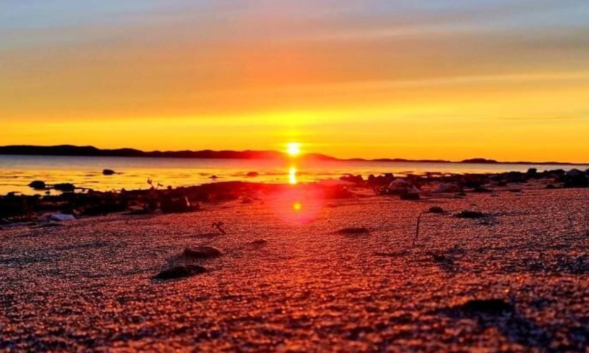 Alstahaug Bed & Breakfast | Våg Helgeland