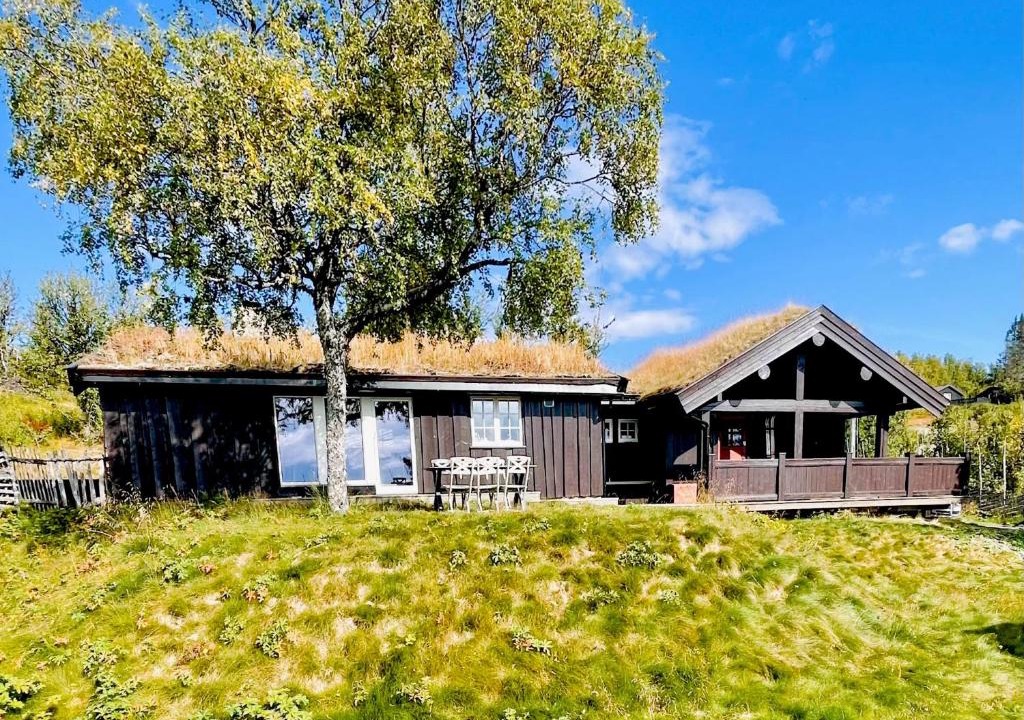 Vestre Slidre Ski Chalet | Vasethytta - cabin with a lovely view