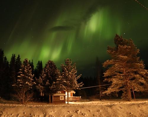 Brønnøy House | Velfjord Camping & Hytter