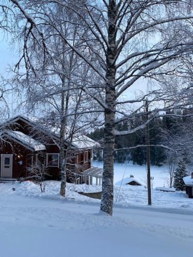 Nilsia House | Villa Aamurusko