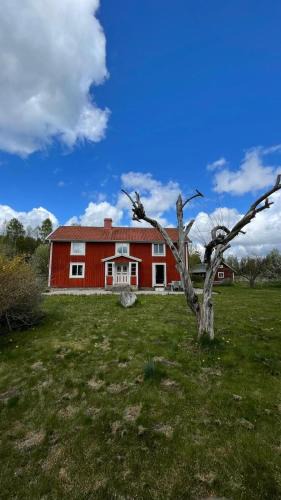 Vieboda House | Villa Barkaboda