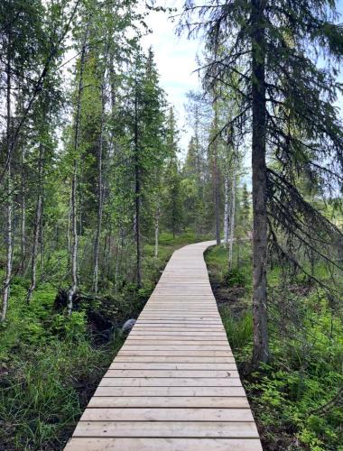 Lampivaara Ski Chalet | Villa Karhunkehto