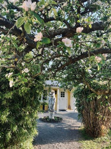Borgholm Bed & Breakfast | Villa Sol B&B and Hostel
