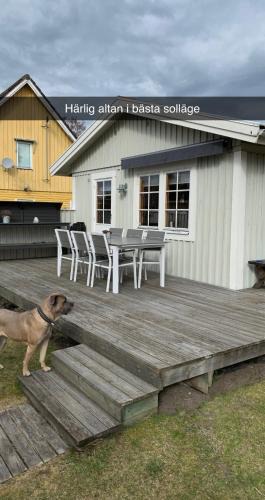 Yngsjo Cabin | Villa Sus & Dus