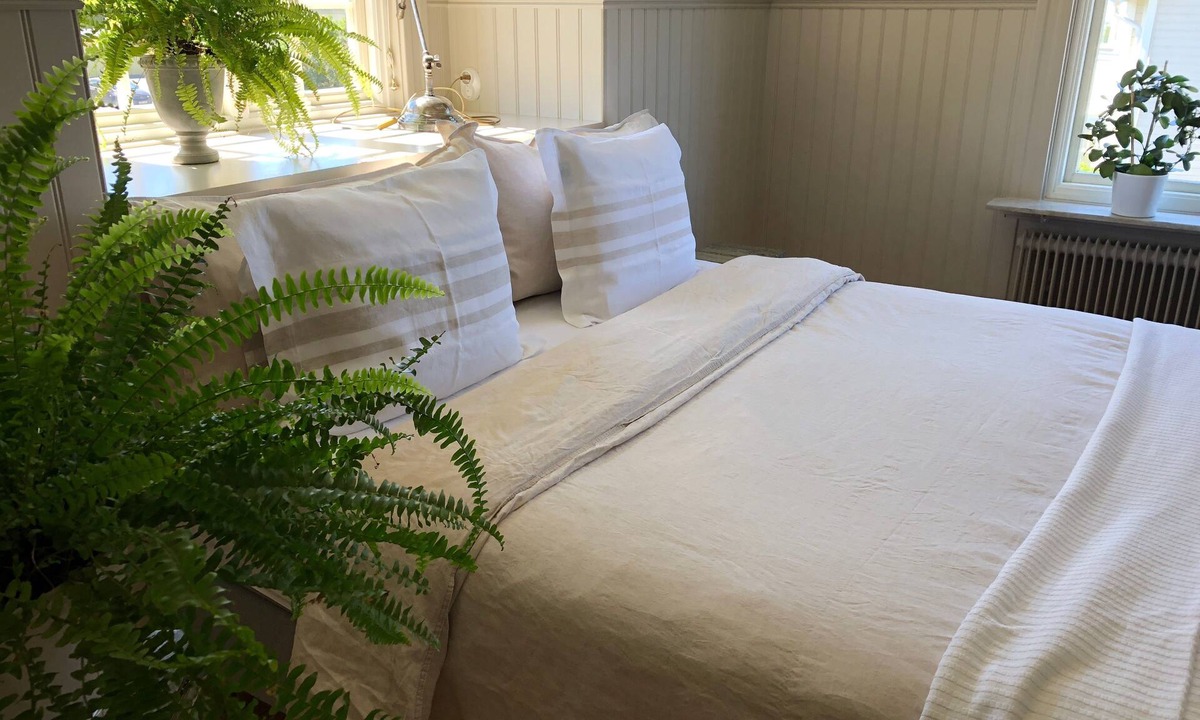 Gamla staden Bed & Breakfast | Villamilsten Bed & Breakfast