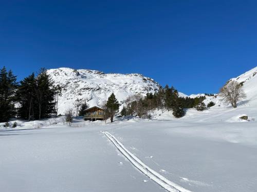 Valberg Apartment | Vintage Norwegian Cabin Hyttekos i Lofoten