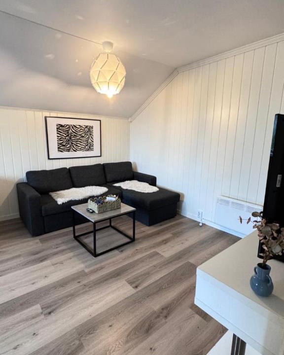Fredrikstad Apartment | Welcome to a nice, bright and spacious apartment!