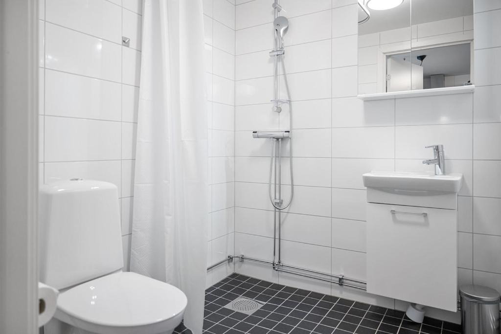 Centrala staden Apartment | Winstrupsgatan