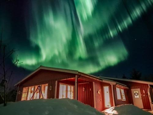 Bostad Apartment | Your Lofoten Home Base, Quiet & Well Located Basement Apartment