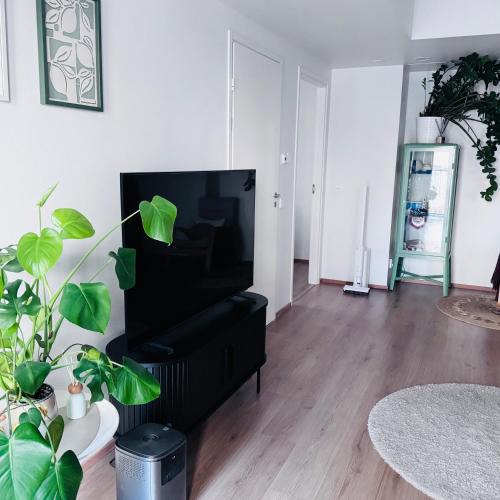 Lantinen District Apartment | Yuzuaika Cozy Home Bliss
