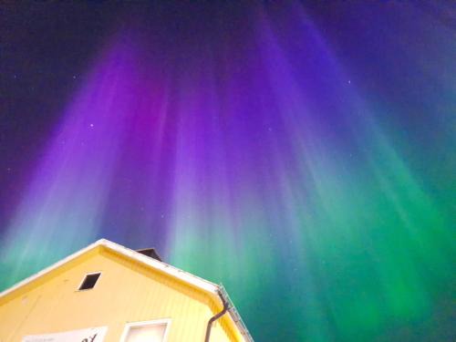 Ullatti Apartment | Zwischen Mitternachtssonne und Nordlicht