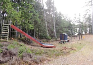 Älgen