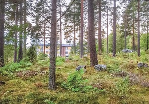 1 bedroom accommodation in Pauliström