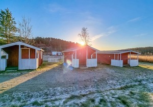 1 bedroom accommodation in Strömstad
