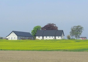 1 bedroom apartment in Löderup
