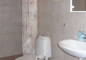 1 bedroom apartment in Löderup