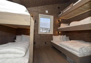 12 person holiday home in IDRE