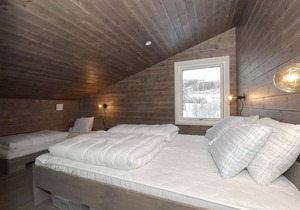 12 person holiday home in IDRE