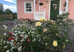 2 bedroom accommodation in Sankt Anna