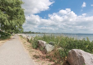 2 bedroom accommodation in Abbekås