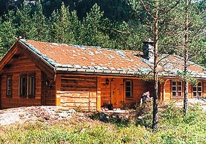 3 bedroom amazing home in Dølemo