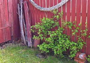 3 person holiday home in HAMBURGSUND