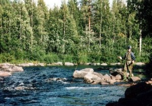 34 m² Apartment ∙ 2 bedrooms ∙ 4 guests