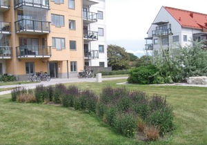 Beautiful vacation apartment in Korallgatan in Visby.