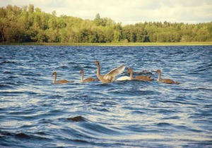 Kallhällsbaden Vandrarhem
